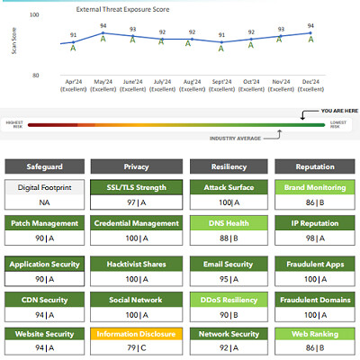 Web design case study ASAL Dec 2024 Report
